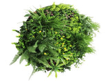 Slimline Artificial Green Wall Disc Art 80cm Country Fern UV Resistant V637-DP9965
