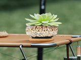 3.94 Inch Round Ceramic Succulent Planter Pot with Drainage Hole and Attached Saucer, Glazed Shallow V1366-AZ2-W-16519