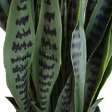 Artificial Snake Plant Sansevieria UV Resistant 90cm V637-DP75271