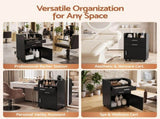 Artiss Professional Salon Station Rolling Cart, Hair Styling Beauty Cabinet with 2 Drawers & 2 FUR-AD-SAL-01-BK