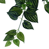 Bright Mixed Philodendron Garland Bush 100cm V637-1014515