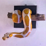 Golden Ball Wall Sculpture, Realistic Reptile Art, Lifelike Detail, Strength Symbol for Entryway, V1192-AZ-W-24315