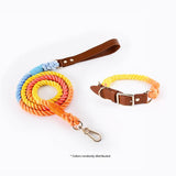 Premium Leather Pet Collar and Leash - Soft, Strong Braided Rope V888-ELOSUNG31108