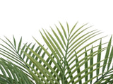 Premium Artificial Areca Palm Tree 50cm UV Resistant V637-DP5562359