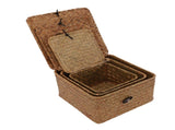 3 Pcs Hand Woven Storage Box Stationery Snacks Jewelry Storage Woven Basket with Lid for Home V1294-YM0901-3115250090311