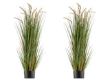 Artificial Grass Plant, 2 Pack 1499mm Horsetail Reed Grass in Pot, Premium PVC Faux Fake Greenery V952-DPKMWCLS59INN4HXO001V0