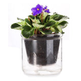 3pcs 4 Inch Self Watering Pot,African Violet Pot,Bottom Watering Glass Planter for Indoor Plants and V1366-AZ2-W-14626