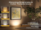 Spotlights Indoor, No-Glare Rechargeable Floor Can Light for Plants with Remote, Wireless Art Accent V1171-CB-BOM001241-2