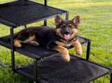Dog Stairs for Car, 4 Steps Extra Wide Foldable Dog Ramp for Large Dogs with Non-Slip Surface, V952-KZDGLTEKJCDJEVRSN001V0