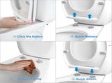 Premium Elongated Toilet Seat with Bidet T Adapter, Metal T Valve for Bidet V1258-DP02-C-836