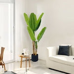 SOGA 160cm Banna Plant Bird of Paradise Tree Artificial Plant Home Accent Decor APLANTFHBJS16017