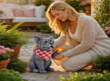 Solar Dog Garden Statue, Solar Operated Light Up Butterfly, Garden Decor and Thoughtful Presen, for V1366-AZ2-W-15531