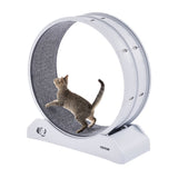 VEVOR Cat Exercise Wheel, 31.5 in, Large Cat Running Wheel with Secure Brake & Carpeted Runway, V952-SLMPBJBSPP31K33DZV0