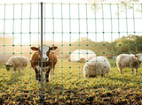 Electric Fence Netting, 0.88 x 49.98 m, PE Net Fencing with Posts & Double-Spiked Stakes, Utility V952-DXJCWLW35IN1ED6DAV9