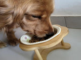 Ceramic Pet Feeder with Wood Stand Tilted Cat Bowl for Comfortable Eating, Anti-Tip DesignZhu V1385-FTCWW-ZM-003