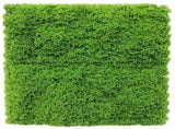 Fresh Natural Green Artificial Moss / Green Wall UV Resistant 1m x 1m V637-DP7890013
