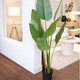Potted Artificial Strelitzia Bird Of Paradise Tree 153cm V637-84500PEP