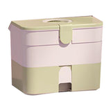 Cosmetic Storage Box 2 Layers Drawer Large Capacity Portable Makeup Storage Box with Handle for Nail V1294-YM0521-3117220310313