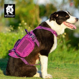 Whinhyepet Military Harness - Purple, M ZAP-YH1805-7