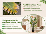 Artiss 150cm Artificial Bird of Paradise Plant with Flowers Realistic Leaves for Home Office Decor AP-TREE-BIRD-FL-150