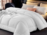 Ramesses 800GSM All Season Antibectiral Microfibre Quilt Single V442-KIT-QUILT-800GSMMICROFIBRE-WHITE-SB