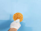 Drywall Texture Sponge Yellow for Wall Repair and Painting 6Pcs V1369-AZ3-W-20120