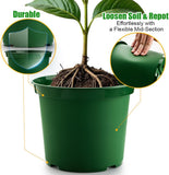 3 Gallon Plastic Nursery Pots, 10 Inch Round Plant Pots with Drainage Holes, 10 Pack Planting Pot V1258-DP02-C-1474