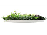 Slimline Artificial Green Wall Disc Art 80cm Grassy Fern UV Resistant V637-DP9855