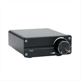 100W D100 TPA3116 Digital Power Amplifier Single Sound Channel Class D Desktop Subwoofer for Home V1370-AZ4-07886