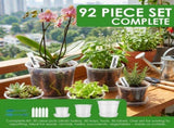 30Pcs Clear Nurserys with Multiple Drainage Holes & Dedicated Tray Transparent Seedling Flower V1366-AZ2-W-15051