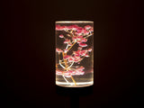 Gypsophila Paniculata Eternal Flower Acrylic Table Lamp - Color-Changing LED, USB Rechargeable, V888-ELOSUNG21685