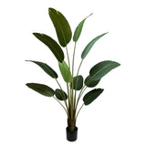 Grand Artificial Potted Travellers Palm 180cm V637-DP75267