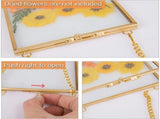 4 Pcs Specimen Metal Photo Frame,Double Floating Picture Frames,Golden Hanging Glass Picture V1192-AZ-W-17543