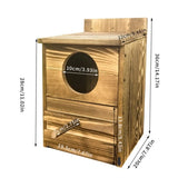 Owl Nesting Box Bird Feeder Paulownia Wood Acrylic V178-66929