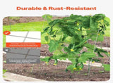 Cucumber Trellis for Climbing Plants, 35" x 55" Foldable Cucumber Trellis Set with Plant Clips, V952-HGPJTXCZAXJ3JGFLUV0