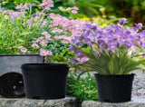 Black Nursery Pots 3 Gallon, Thick Planters with Drainage Holes for Gardening, Flowers, Vegetables V1366-AZ2-W-16509