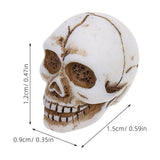 Mini Resin Skull Head Figurines Halloween Desktop Art Craft Home Decorations V1366-AZ2-W-13881