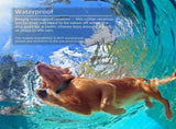 Dog Training Collar, Waterproof USB Rechargeable Dog Remote Trainer with Vibration Shock and Beep V1192-AZ-W-11808