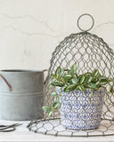 casa-verde-garden-cloche-med-23-x-28cm V758-CV05068