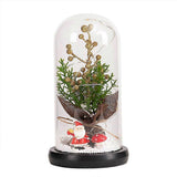 Glass Dome Christmas Plants Christmas Decorations Glass Dome Christmas Tree Branch with Lights V1263-JX-1771