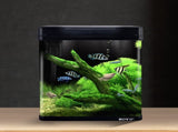 34L Complete Aquarium Kit With Bio Filter System LED Kit Curved Design MS-420