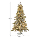 Christabelle Snowy Stamford Spruce 7.5ft Christmas Tree Multi Functional White Coloured LED Lig 112_NATSS75