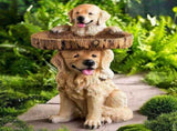 Fashionable and Cute Resin Water Basin, Resin Outdoor Bird Feeder Birdbath, Garden Courtyard Outdoor V1369-AZ3-W-15466
