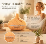 2 Pack Onion Diffuser Combo B Remote, 24V AU Plug, Decor Gift Duo V1221-XM-LB1542-ZS043