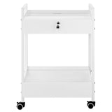 VEVOR Lab Cart, 2 Tiers Stainless Steel Utility Cart, Medical Cart with 2 Drawers, Rolling Lab Cart V952-SYSSTCB4Q235238MLV0
