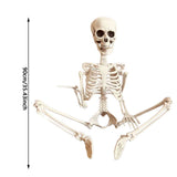 Life Size Posable Halloween Skeleton - 35" Realistic Human Skeleton with Movable Joints for Outdoor V1366-AZ2-W-16567