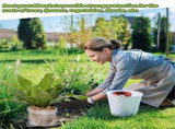 8 Packs 5 Gallon Root Stainless Steel Guard Baskets for Protects Plant Root From Gophers Moles Voles V1192-AZ-W-22913