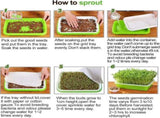 Tutuviw BPA Free Hydroponics Soilless Seeds Sprouter Microgreen Seed Sprouter Trays Seed Germination V1189-WXFWAL-20260319-01184