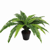 Artificial Potted Natural Green Boston Fern V637-DP1159628