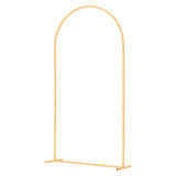 Arch Backdrop Stand, 2 x 1 m, Stable Structure, Easy Assembly, 1 Set Gold Metal Arch Backdrop Stand V767-VVR-BYDGMJDJT66FVMQ73001V0
